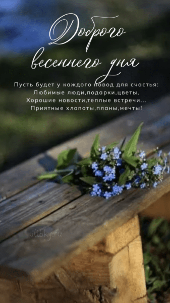Доброго весеннего дня - новые красивые картинки (39 ФОТО)