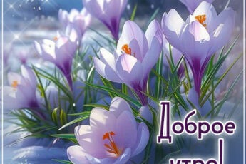 Картинка Доброе утро с ароматом свежего утра и надежды