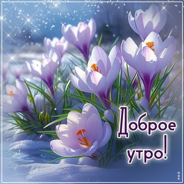 Картинка Доброе утро с ароматом свежего утра и надежды