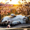 Открытка Доброе утро и отличного настроения с самого утра