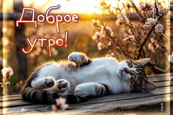 Открытка Доброе утро и отличного настроения с самого утра