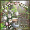 Открытка Доброе утро, пусть день принесёт только хорошее