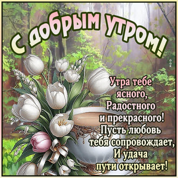 Открытка Доброе утро, пусть день принесёт только хорошее