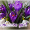 Открытка Хорошего дня и много положительных эмоций
