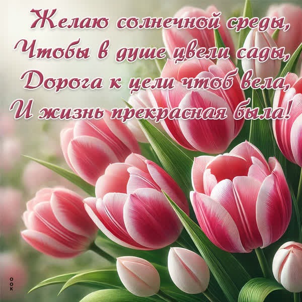 Жизнерадостная открытка со средой