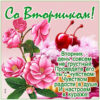 Открытка cо вторник с позитивом