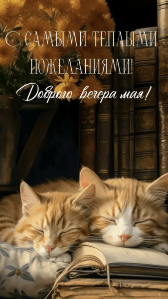 Добрый майский вечер - красивые картинки (40 ФОТО)