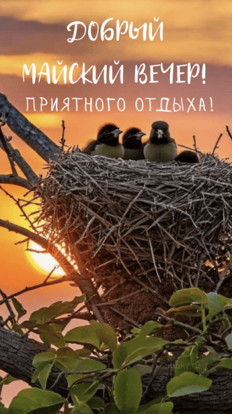 Добрый майский вечер - красивые картинки (40 ФОТО)