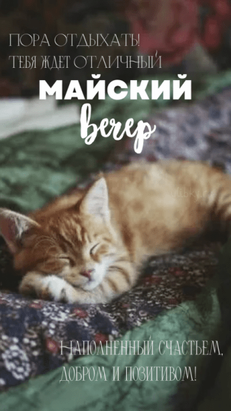 Добрый майский вечер - красивые картинки (40 ФОТО)