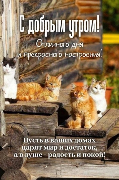 Очень красивые открытки - с добрым утром (50 ФОТО)