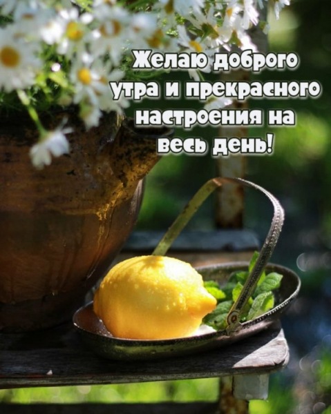 Очень красивые открытки - с добрым утром (50 ФОТО)